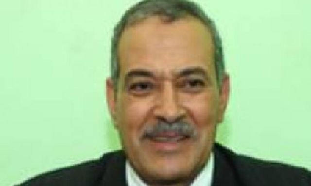 عبدالعزيز السيد :  الشتاء يهدد صناعة الدواجن فى حالة استمرار أزمة الغاز