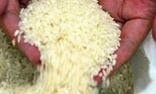 مصطفى النجارى: قرار الحكومة بمنح تراخيص الأرز سيربك الأسواق