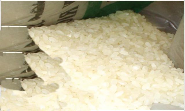 خالد حنفى ينفى فتح باب تصدير الأرز المصرى للخارج