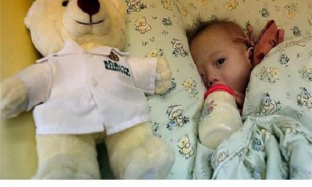 النوم على جلود الحيوانات يقلل خطر الربو لدى الرضع