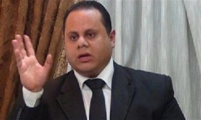 منسق إئتلاف أقباط مصر : المصريين بالخارج سيلتقون بالبرلمان الأوربى الشهر المقبل