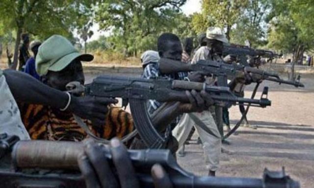 مقتل 50 متمردا خلال اشتباكهم مع الجيش السوداني جنوب كردفان