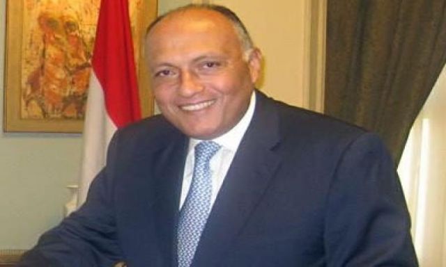 سامح شكري ..الرجل الذى أعاد الدبلوماسية المصرية إلى الحياة