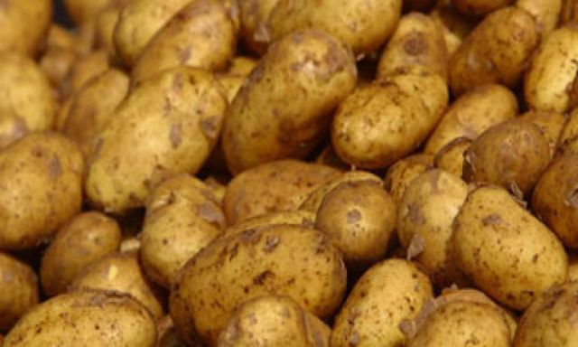 روسيا ترفع الحظر عن استيراد البطاطس المصرية