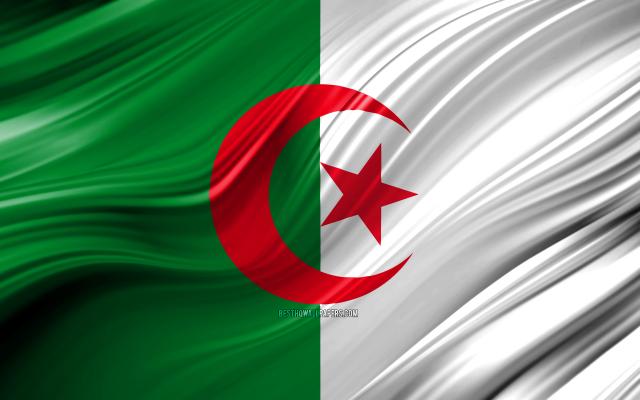 الجزائر ترحب بـ ”إعلان القاهرة ”لوقف إراقة دماء الليبيين
