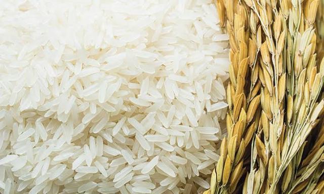 ارتفاع أسعار الأرز حقيقة أم إشاعة؟