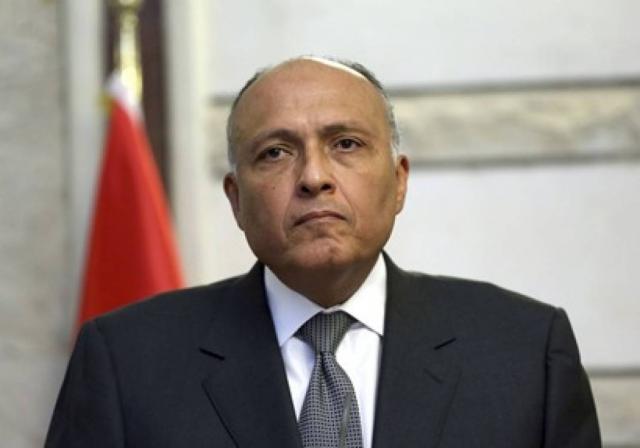 وزير الخارجية: أي تهديد للأمن المصري والعربي سيلقى ردًا مناسبًا