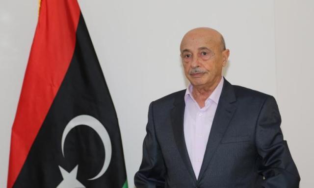 تعرف على أسباب زيارة رئيس البرلمان الليبي لإيطاليا
