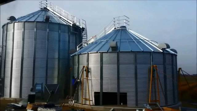 وزير التموين يكشف دور الصوامع الإماراتية في الحفاظ على جودة القمح