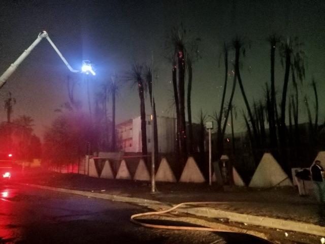 الحماية المدنية بالقاهرة تسيطر  على حريق أشجار داخل مدرسة عين الصيرة