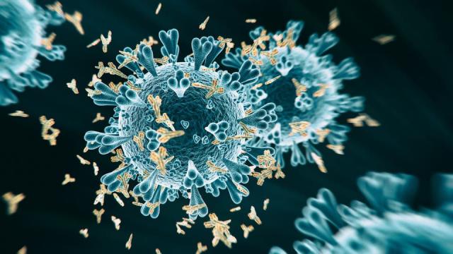 منظمة الصحة العالمية :هذه الدولة نجحت في السيطرة علي وباء كورونا