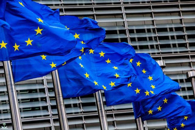 ألمانيا ترفض عرض العلم التركي بجوار علم الاتحاد الأوروبي خلال اجتماع المجلس