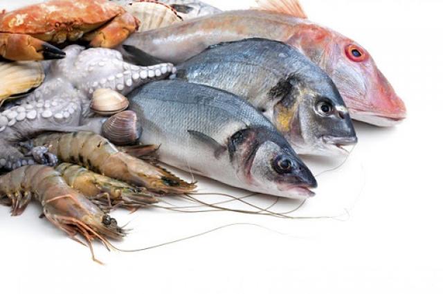 الأسماك ومنتجاتها المعلبة  تنقل فيروس كورونا إلي البشر.. الصين تؤكد ومنظمة الصحة العالمية ترد