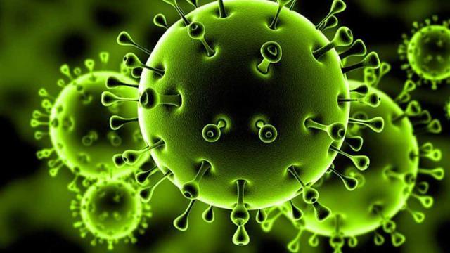 الإمارات تزف بشري سارة بشأن فيروس كورونا