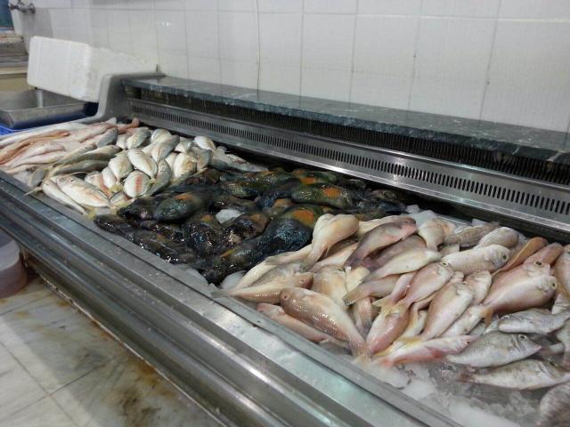 الاستقرار يخيم على أسعار الأسماك اليوم الأربعاء