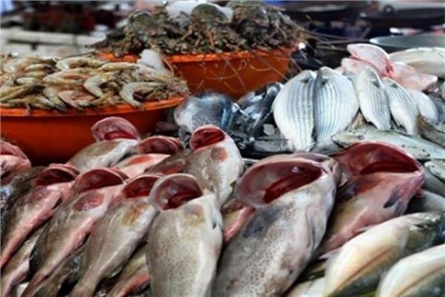 نرصد أسعار الأسماك من داخل سوق العبور للجملة