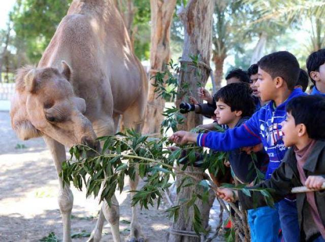 6 نصائح لحماية الأطفال من العدوى عند زيارة حدائق الحيوان