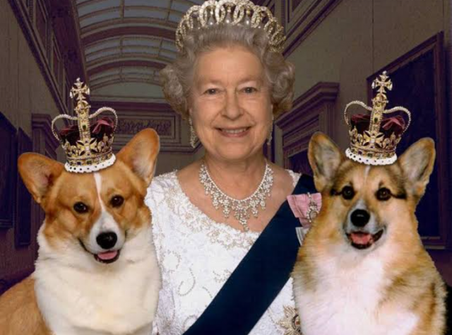 الملكة إليزابيث وكلابها