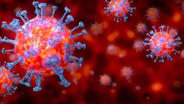 الصحة العالمية : لا يوجد دليل علمي على تحور فيروس كورونا حتى الآن