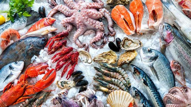 أسعار السمك ” ثابتة ” بسوق العبور اليوم