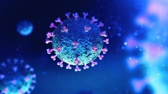 الاتحاد الأوروبي يُحذّر من موجه ثالثة لفيروس كورونا