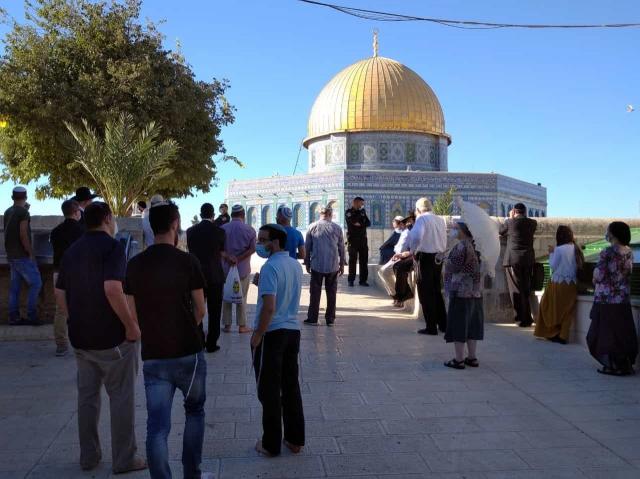 شاهد.. مرصد الأزهر ينتفض ضد الاقتحامات الصهيونية للمسجد الأقصى