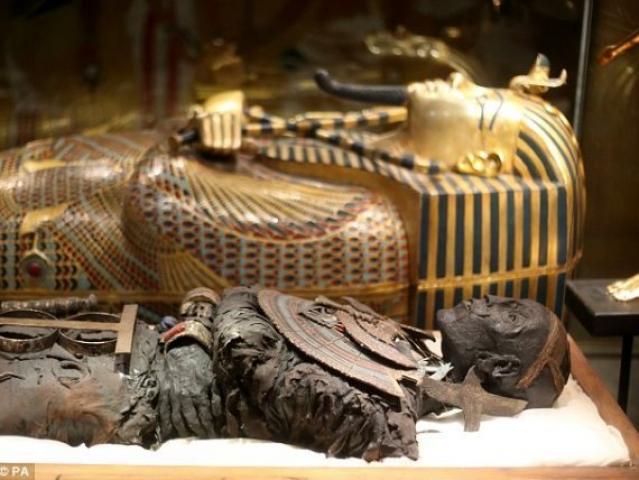 المتحف المصرى: المومياوات الملكية جاهزة للنقل لمتحف الحضارة
