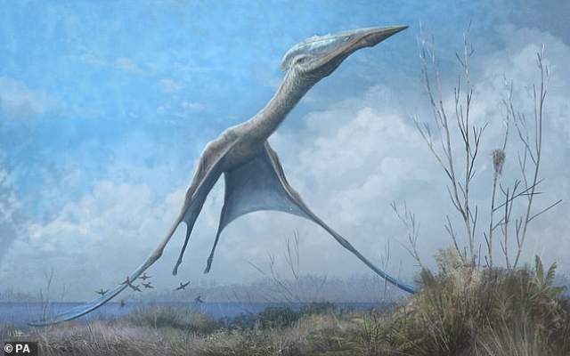 زواحف طائرة حكمت السماء في هذا العصر.. ماذا تعرف عن «التيروصورات»؟