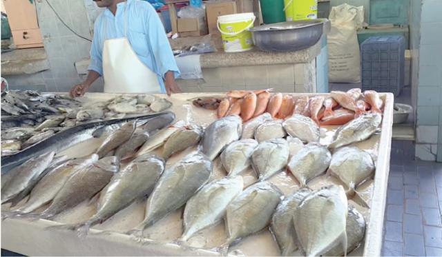 أسعار السمك «مستقرة» فى سوق الجملة بالعبور