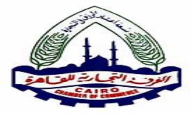 الحكومة المصرية تعترض رسميا على إنشاء مجلس أعمال عربى تركى