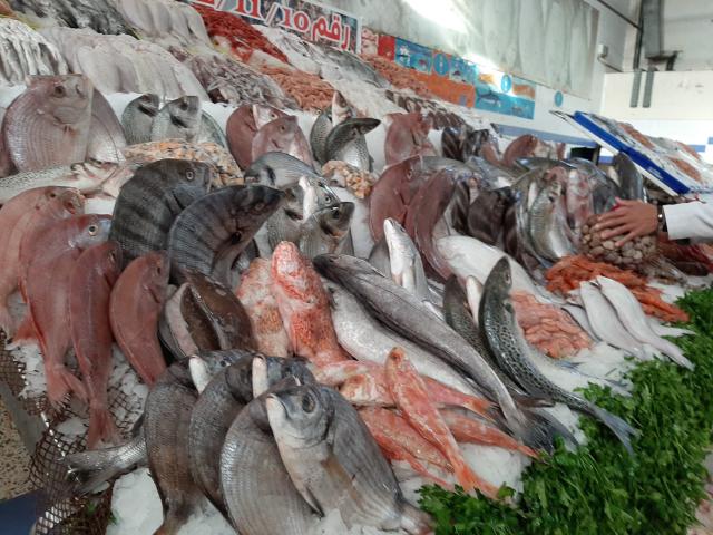 تباين أسعار الأسماك والجمبرى اليوم