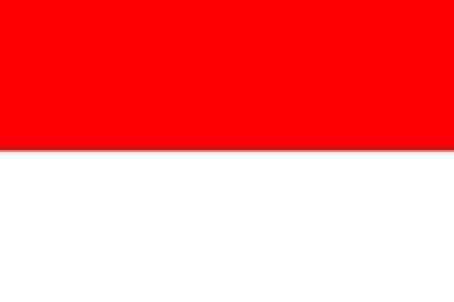 إندونيسيا تتوقع زيادة الاستثمارات خلال العام الحالي