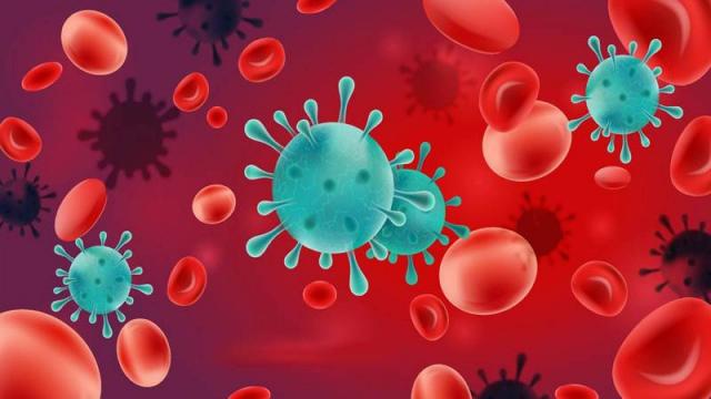 طيب أمراض سرطانات الدم يوضح أحدث طرق علاج من خلال دعم المناعة