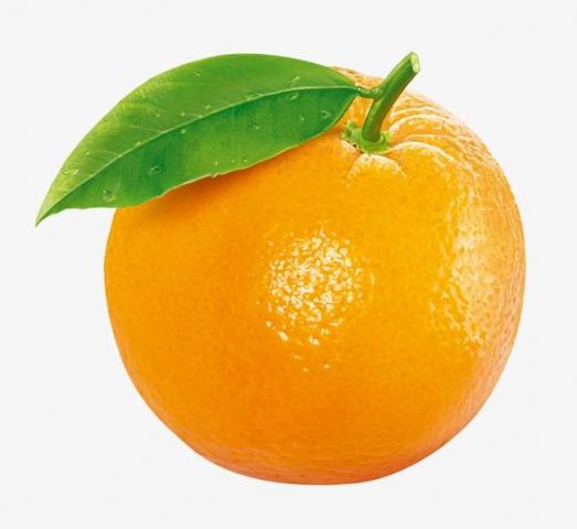 5 فوائد مهمةللبرتقال السكري ...تعرف عليهم