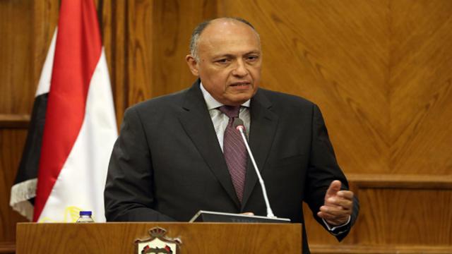 وزير الخارجية المصري يناقش تطورات ملف سد النهضة مع نظيره الفنلندي