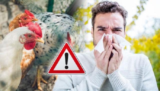 كورونا أرحم .. تسجيل أول حالة إصابة بشرية بأنفلونزا الطيور