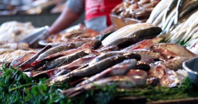 استقرار أسعار السمك والجمبري اليوم