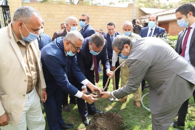 زرع 1500 شجرة زيتون داخل ديوان محافظة المنوفية.. اعرف السبب