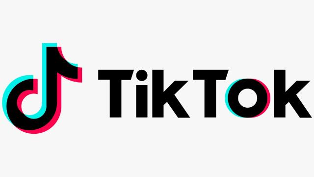 ”تيك توك” يحارب التنمر الالكتروني.. اعرف الحكاية