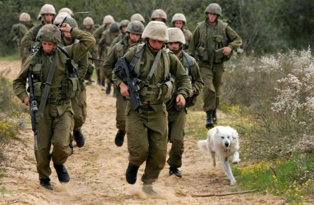 إسرائيل تجري تدريبات عسكرية عند الحدود مع الأردن