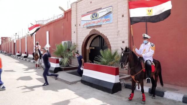 بالفيديو .. لحظة الإفراج عن 2674 من نزلاء السجون بمناسبة عيد تحرير سيناء