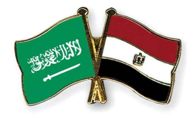 طفرة كبيرة في معدلات التبادل التجاري بين مصر والسعودية رغم تداعيات كورونا