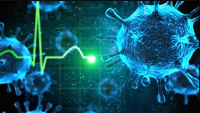 بعد ظهوره في أمريكا.. فيروس هانتا القاتل خطر جديد يهدد البشرية