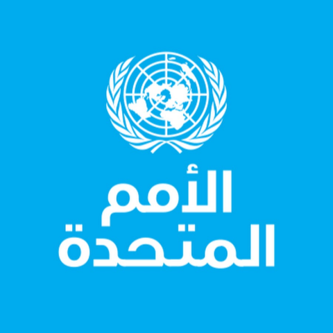 الأمم المتحدة تدعو مجلس الأمن السماح بدخول المساعدات لمناطق شمال غرب سوريا   