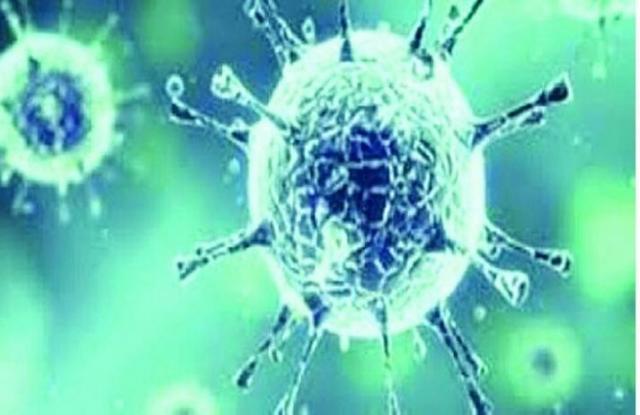 الكويت تُسجل 1555 إصابة جديدة بفيروس كورونا