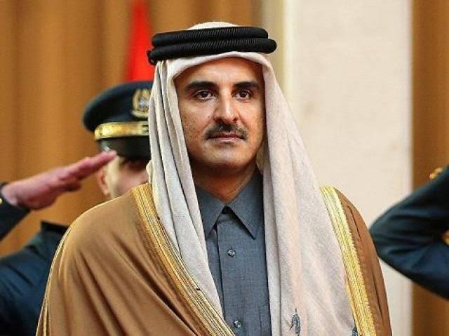 قرار عاجل من أمير قطر بشأن حرائق الغابات في تركيا