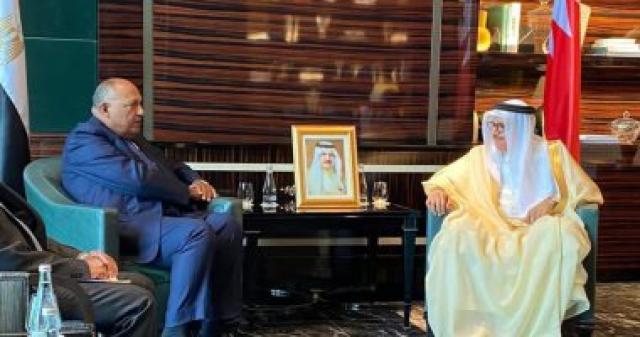 وزير الخارجية يسلم ملك البحرين رسالةً خطية من الرئيس السيسى