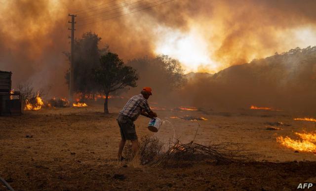 الجزائر تحترق..31 حريق غابة عبر 14 ولاية