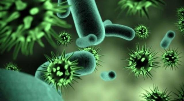 «تحذير هام».. «الصحة العالمية» تكشف تفاصيل جديدة عن فيروس ماربورج