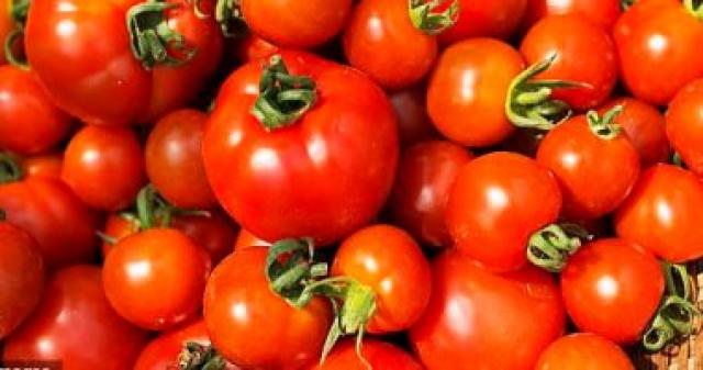 الطماطم يسجل 4 جنيهات  .. تعرف على أسعار الخضراوات